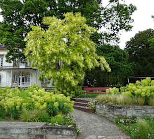 Villengärten Überlingen
