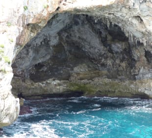 Glasbodenboot Touren