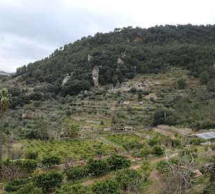 Ausblick von den Klostergärten von Valldemossa