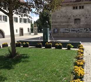 Haupt- und Landgestüt Marbach