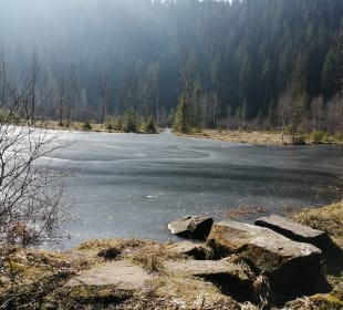 Rundwanderweg Baiersbronn