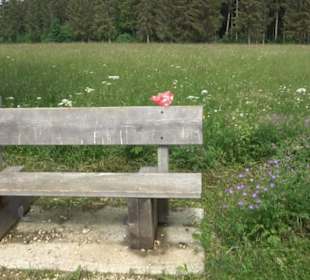 Premiumwanderweg "hochgehackert"