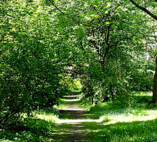 Spaziergang durch den Forstbotanischen Garten