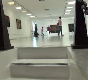 Fundacion Cesar Manrique