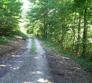 Ameisenlehrpfad Holzelfingen