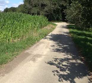 Hochgehnießen - Premiumspazierwanderweg