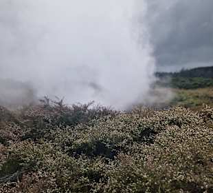 Craters of the Moon Geothermal Walk