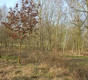 Wunderschöne Boberger Niederung