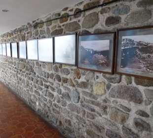 In der alten Kathetrale, Außengelände