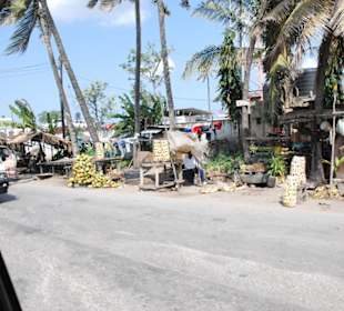 Rückfahrt von der Safari