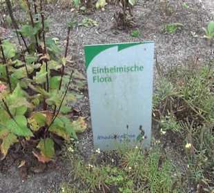 Botanischer Garten