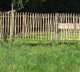 Schaukelweg an der Donau