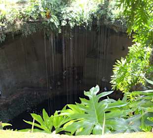 Besuch Cenotes