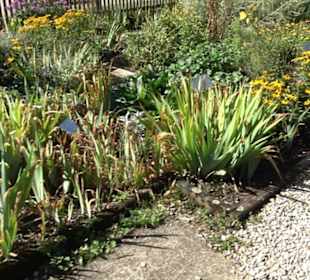 Klosterkirche Maria Gnadenzell