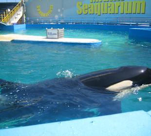 Miami Seaquarium