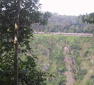 Mit Seilbahn von Cairns nach Kuranda
