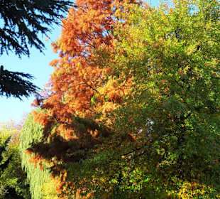 Rundgang durch den Botanischen Garten Hamburg