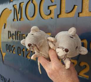 Mogli Delfine & Freunde Ltd. 