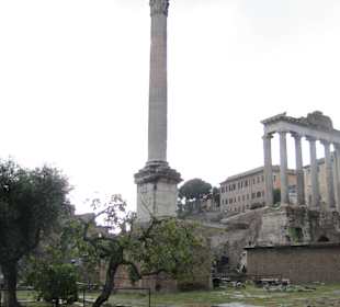 Forum Romanum