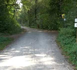 Wanderung Kirnberg-Runde Bebenhausen