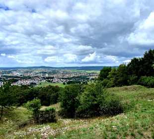Ausblick vom Höhenrück