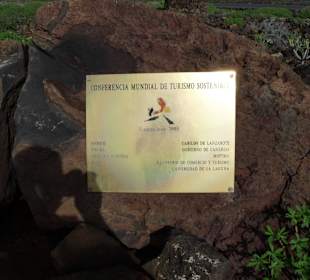  Jameos del Agua Cesar Manrique