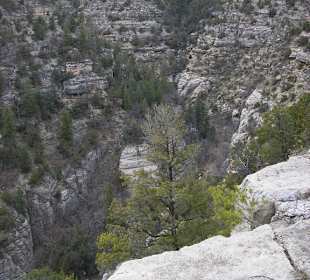 Walnut Canyon