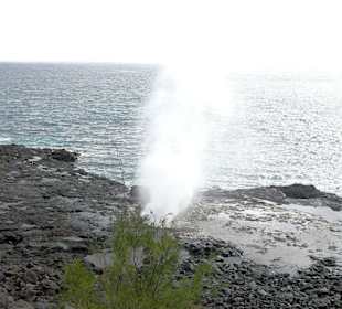 Spouting Horn