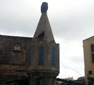 Dort thront sie die Eule vom Eulenbrunnen