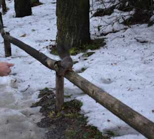 Freilichtmuseum Skansen