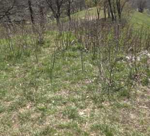 Wanderung Florianrunde