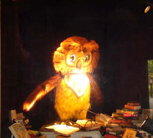 Freizeitpark Duinrell