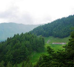 Der Plöckenpass 06-2011