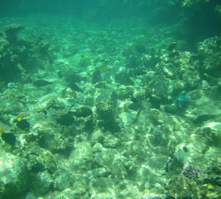 Farbenpracht überall