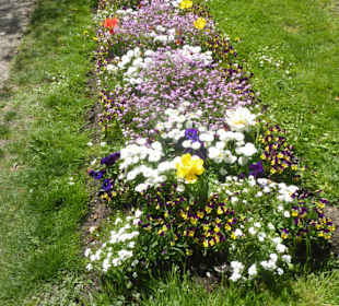 Hofgarten am Dachauer Schloss