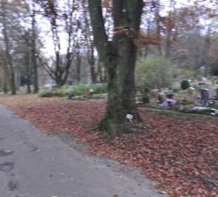 Bergfriedhof