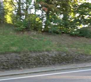 Evangelischer Friedhof „Unter der Burghalde“