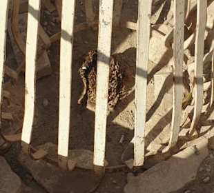 Erlebnis Ägypten VIP Ausflüge