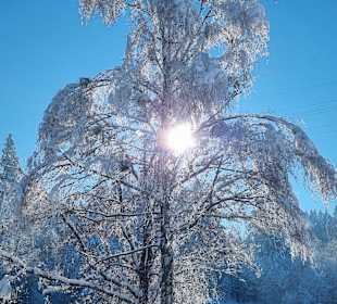 Wandern Murnau am Staffelsee