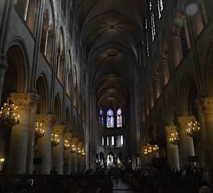 Katedra Notre Dame