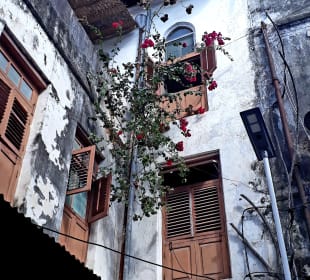 Stadtrundgang Stone Town