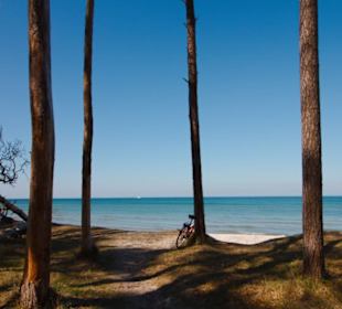 Darßer Weststrand