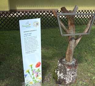 Historische Stadtmauer