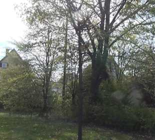 Park an der Mauritiuskirche