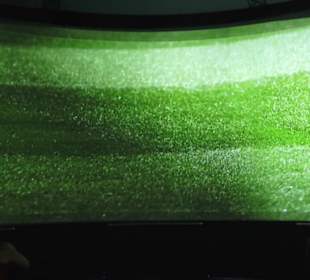 FIFA World Football Museum