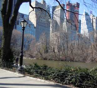    Central Park , NYC