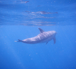 Direkt vor unserer Nase