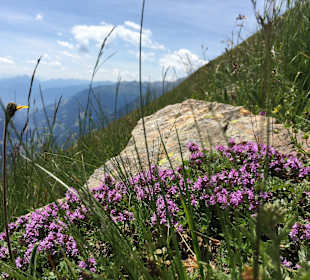 Wanderung Passeiertal
