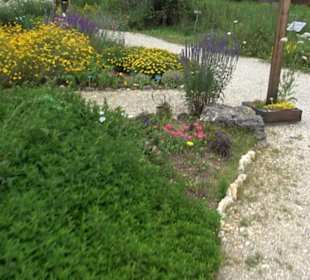 ALB-GOLD Naturgarten