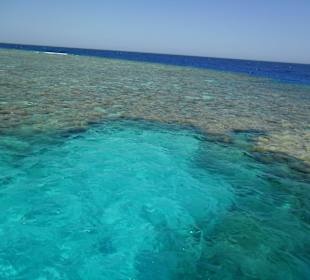 Safaga